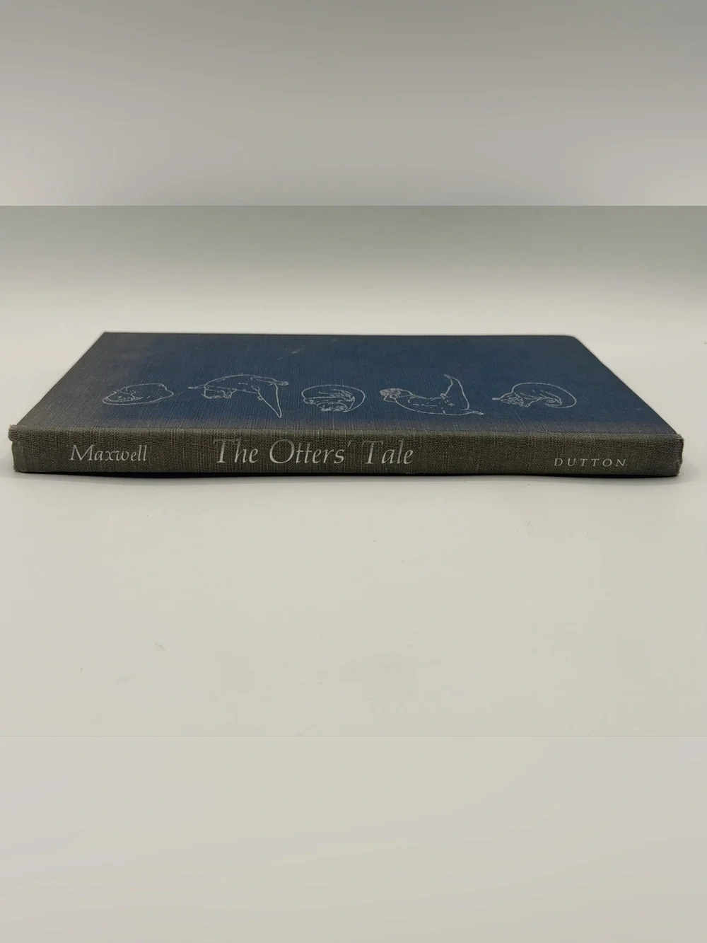 The Otter's Tale by Gavin Maxwell (Hardcover Book, 1962) First Edition